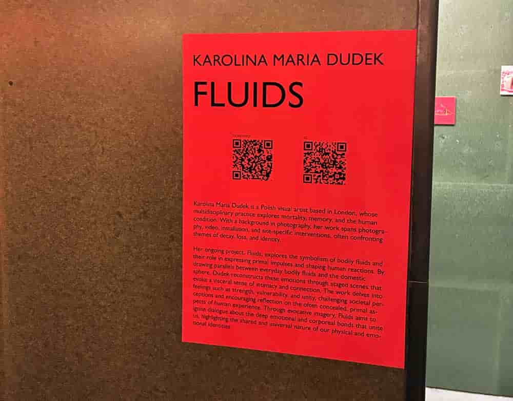 Flui1 (1)
